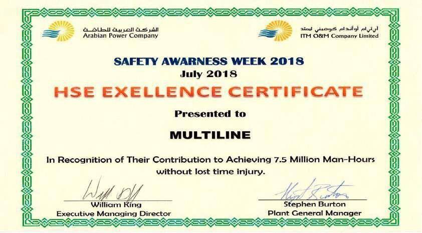 HSE Management on Every Site